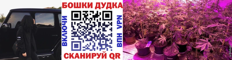 МЕГА маркетплейс  купить наркотик  Азов  Марихуана White Widow 